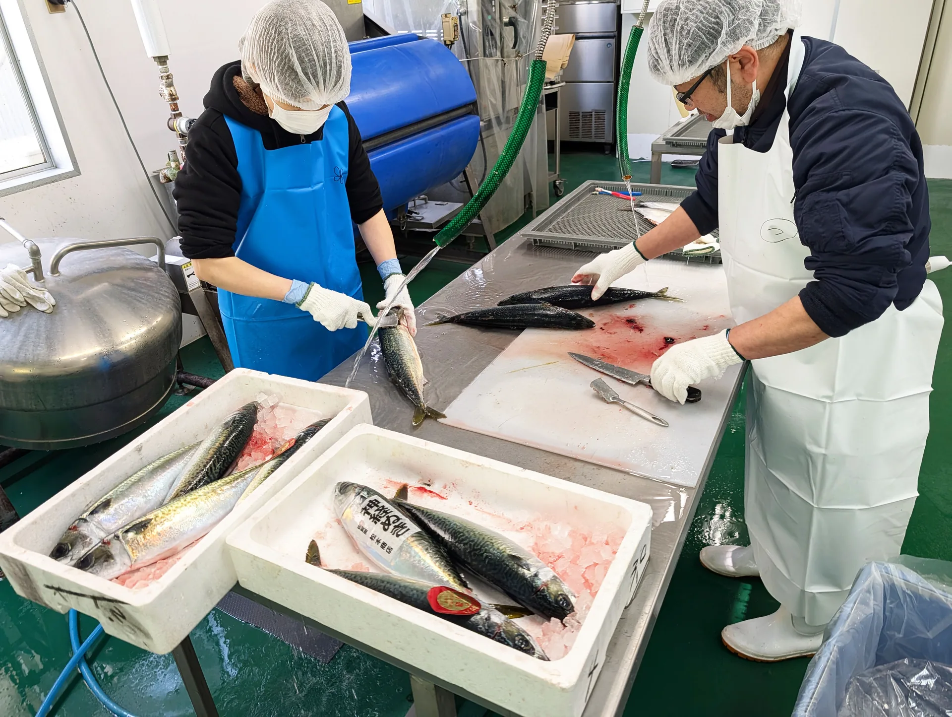 水産加工