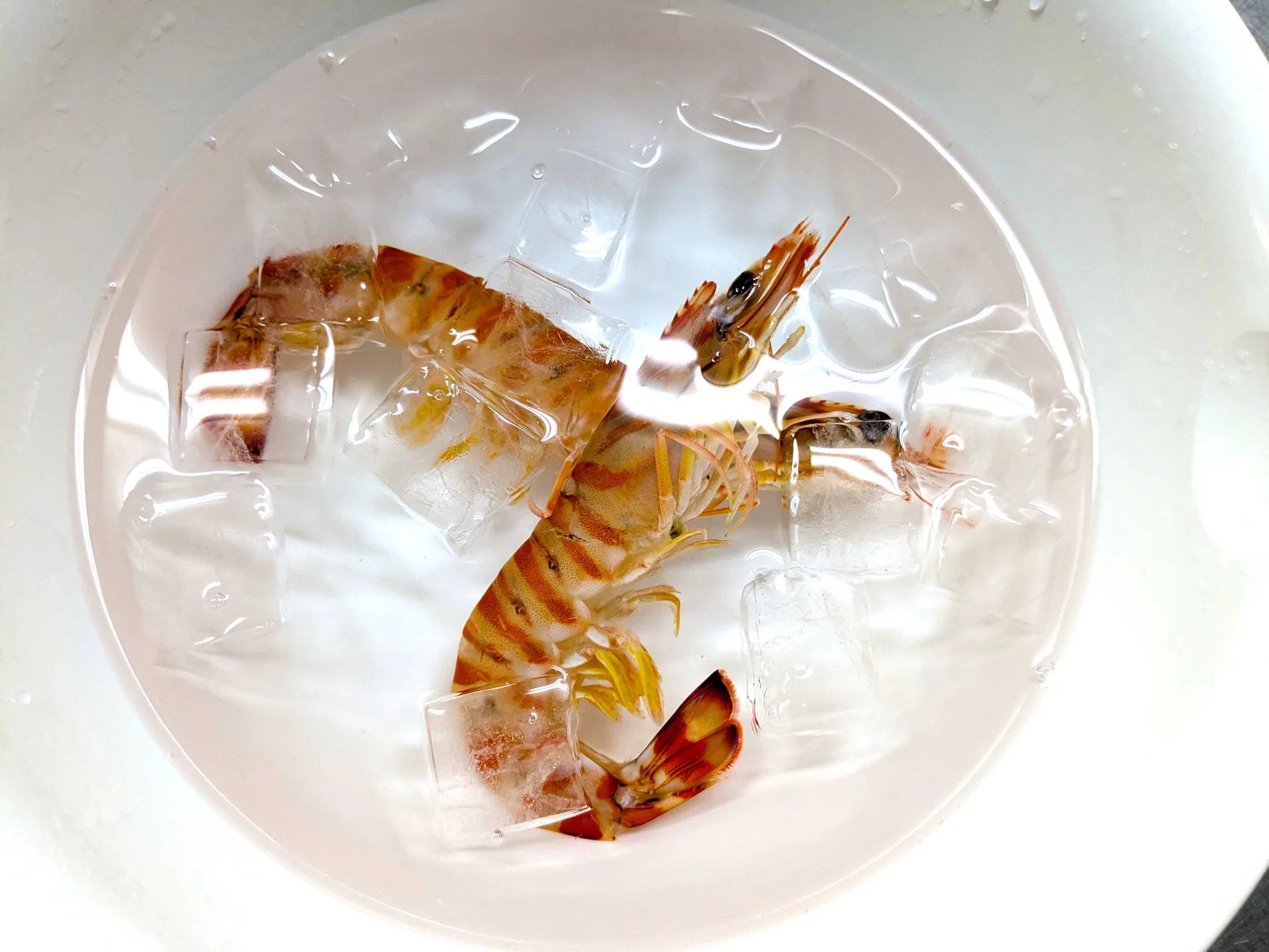 氷水で冷却