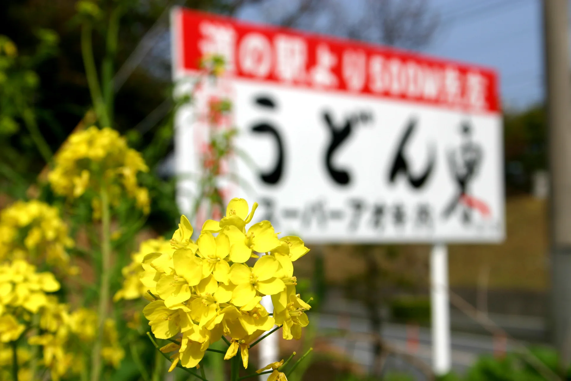うどんや東saki 1